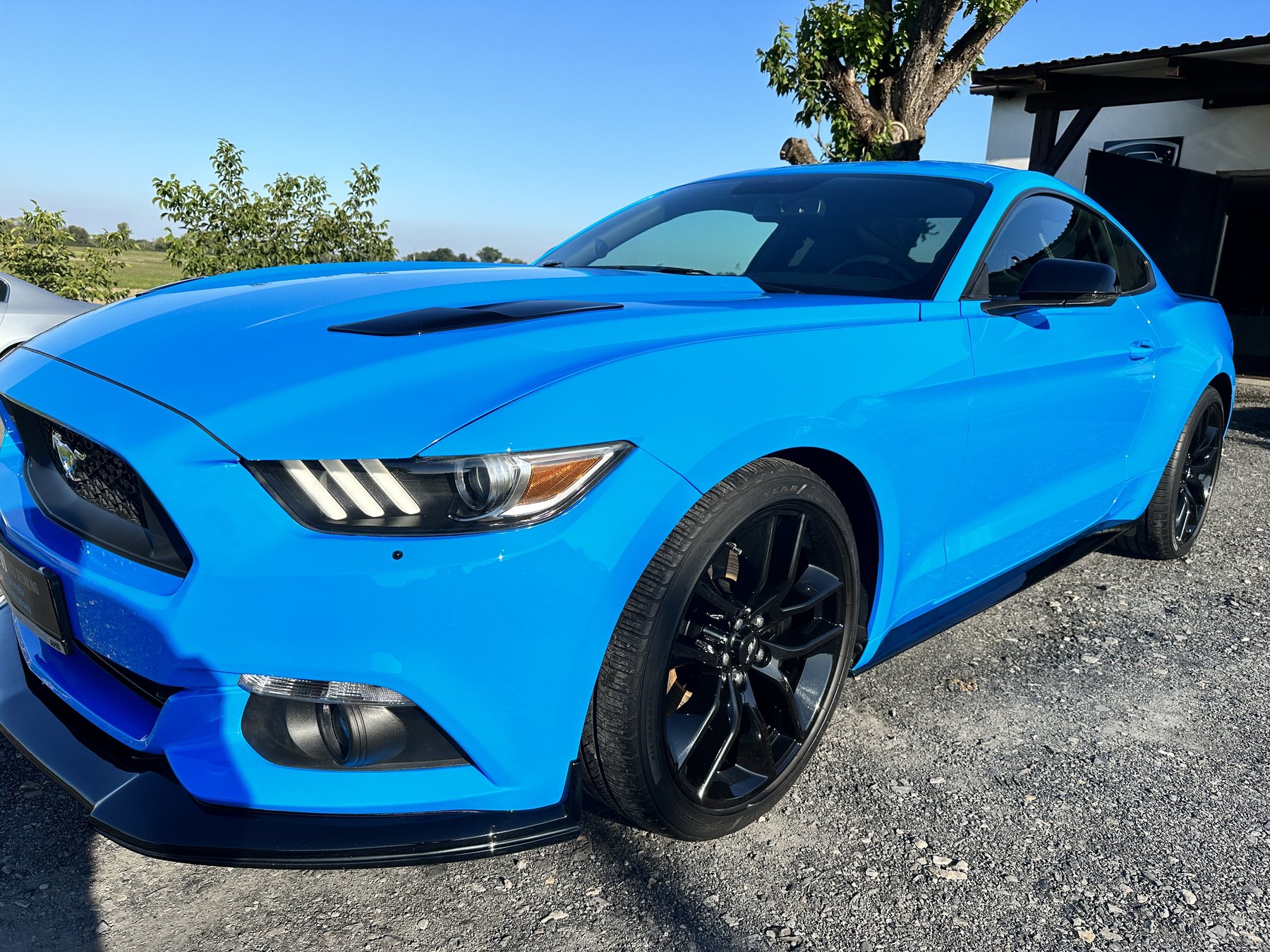 Niebieski Ford Mustang GT - realizacja detailingu