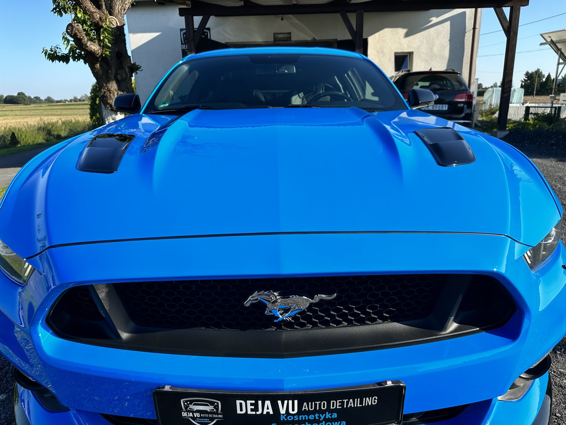 Ford Mustang - zdjęcie realizacji 6