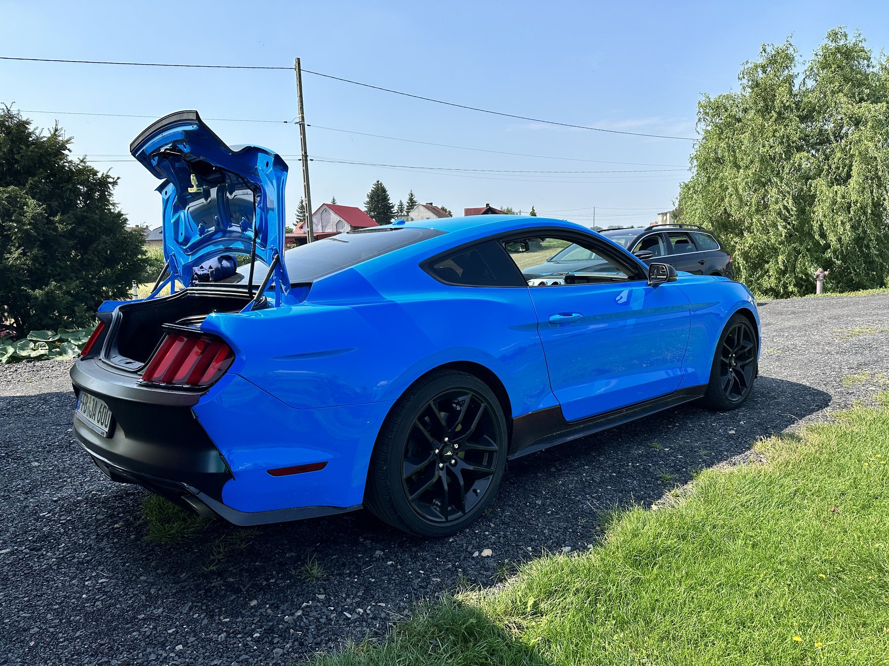 Ford Mustang - zdjęcie realizacji 25