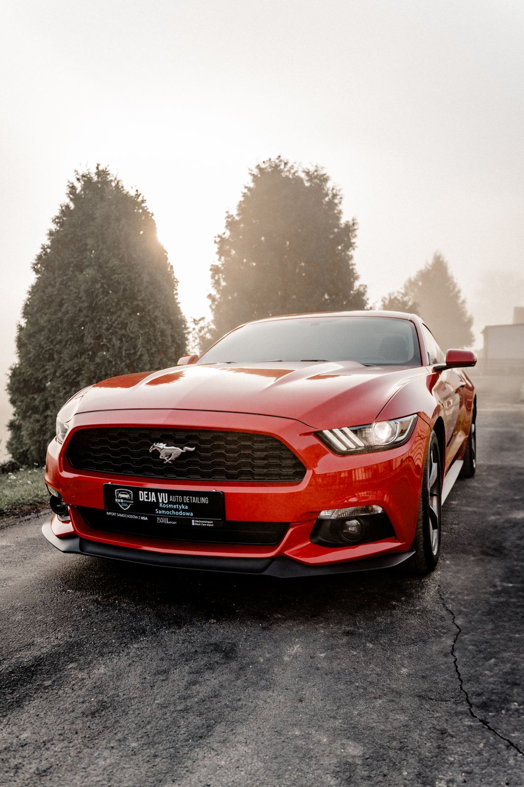 Czerwony Ford Mustang - realizacja detailingu