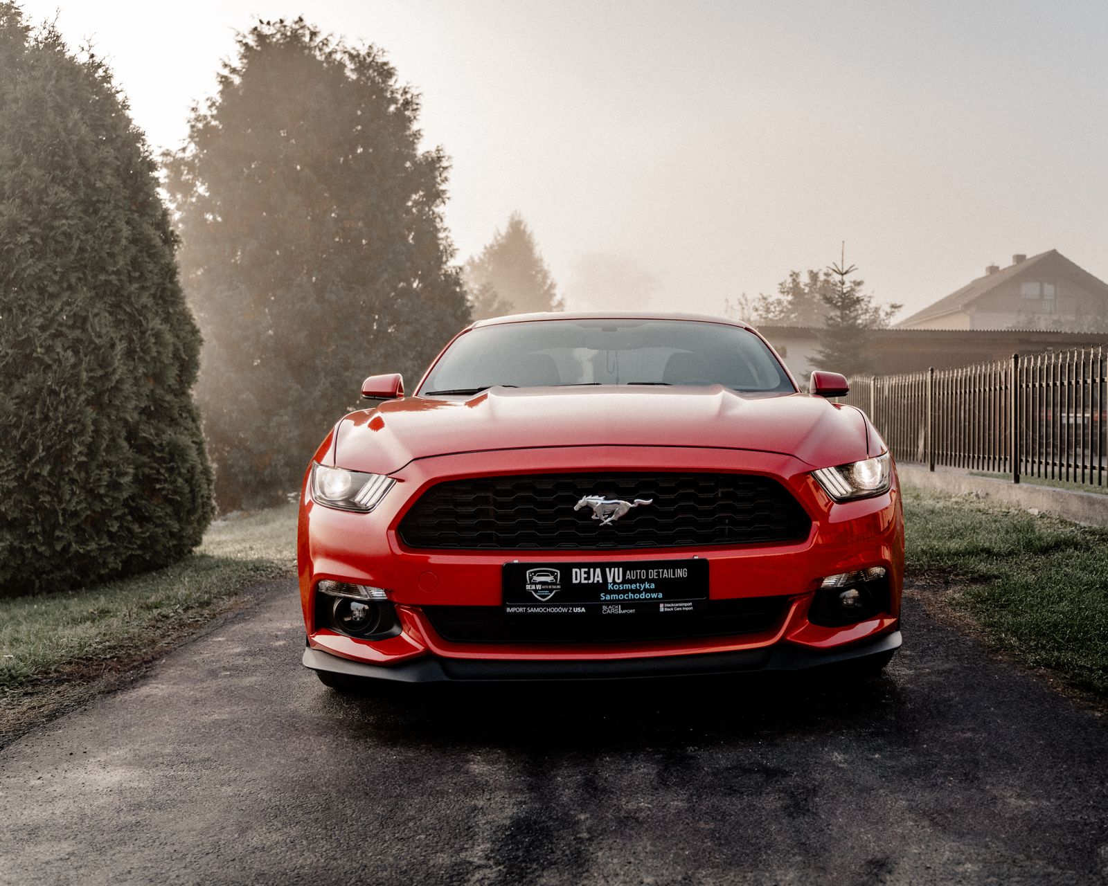 Ford Mustang - zdjęcie realizacji 4