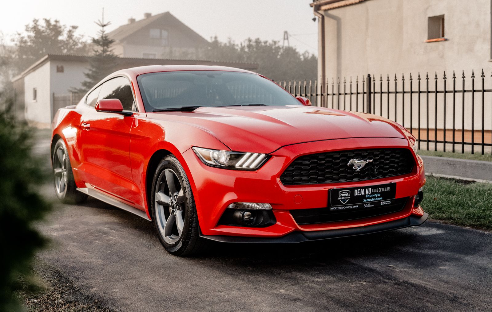 Ford Mustang - zdjęcie realizacji 5