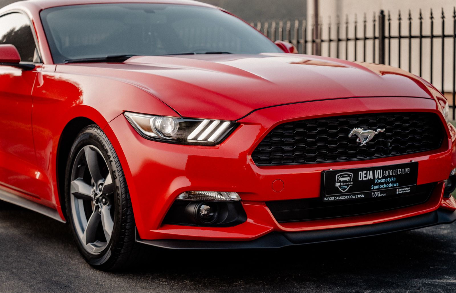 Ford Mustang - zdjęcie realizacji 6