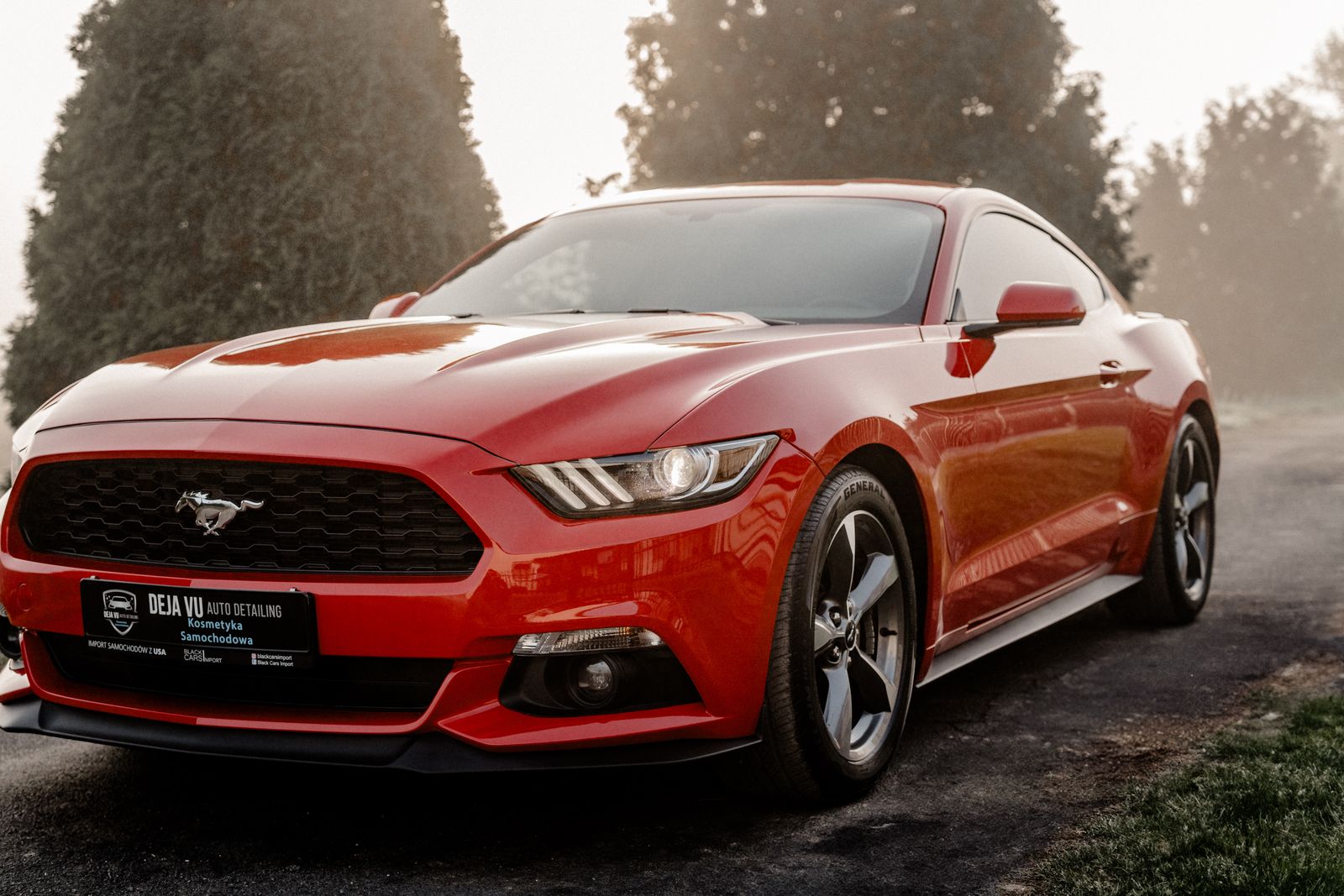 Ford Mustang - zdjęcie realizacji 7