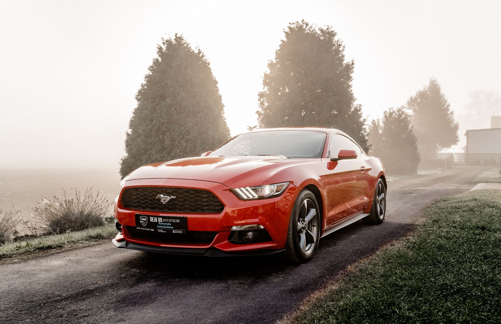 Ford Mustang - zdjęcie realizacji 8