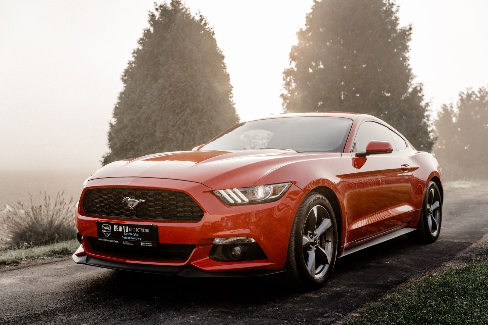 Ford Mustang - zdjęcie realizacji 9