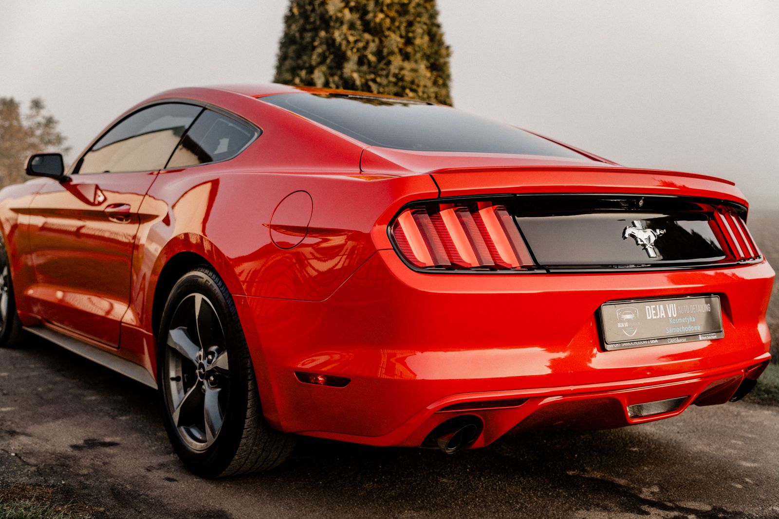 Ford Mustang - zdjęcie realizacji 10