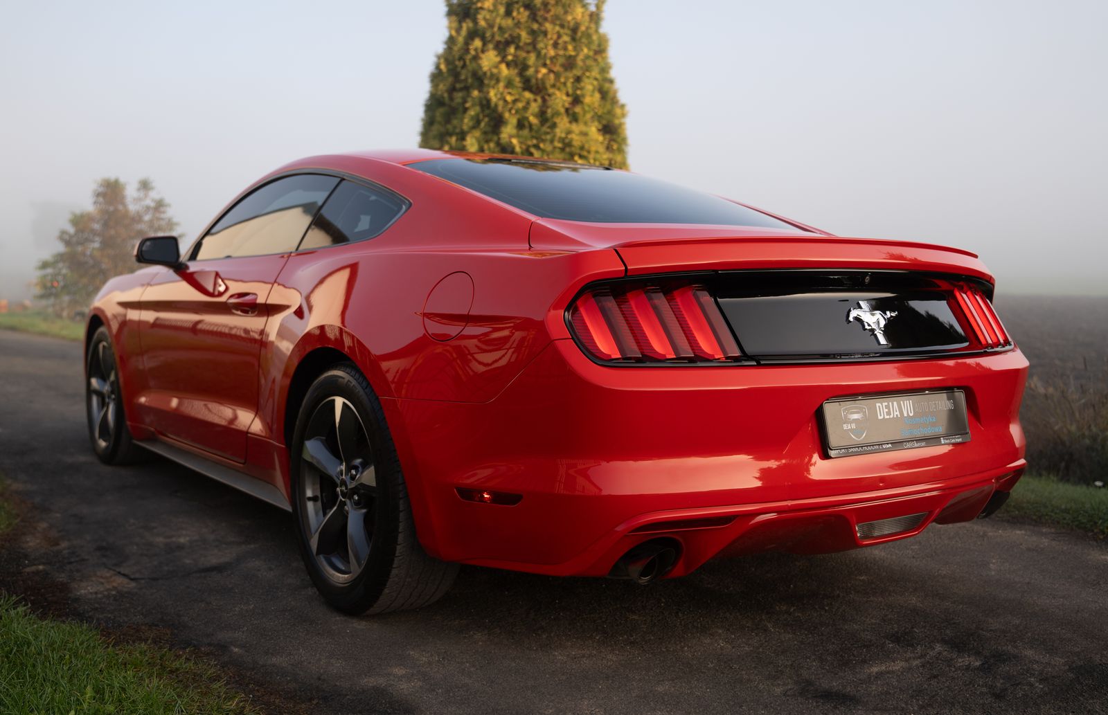 Ford Mustang - zdjęcie realizacji 11
