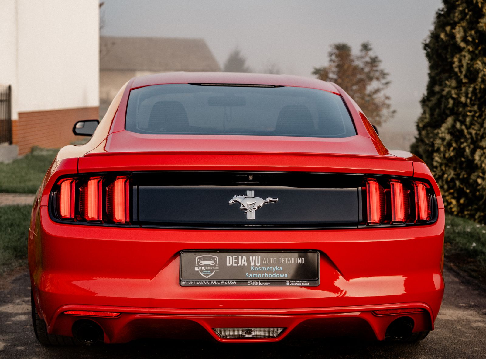 Ford Mustang - zdjęcie realizacji 12