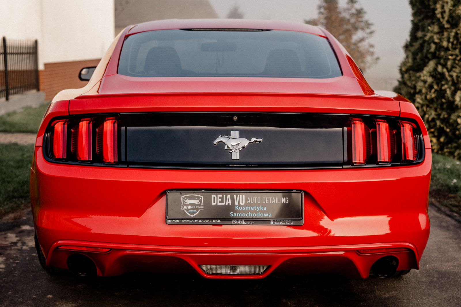 Ford Mustang - zdjęcie realizacji 16