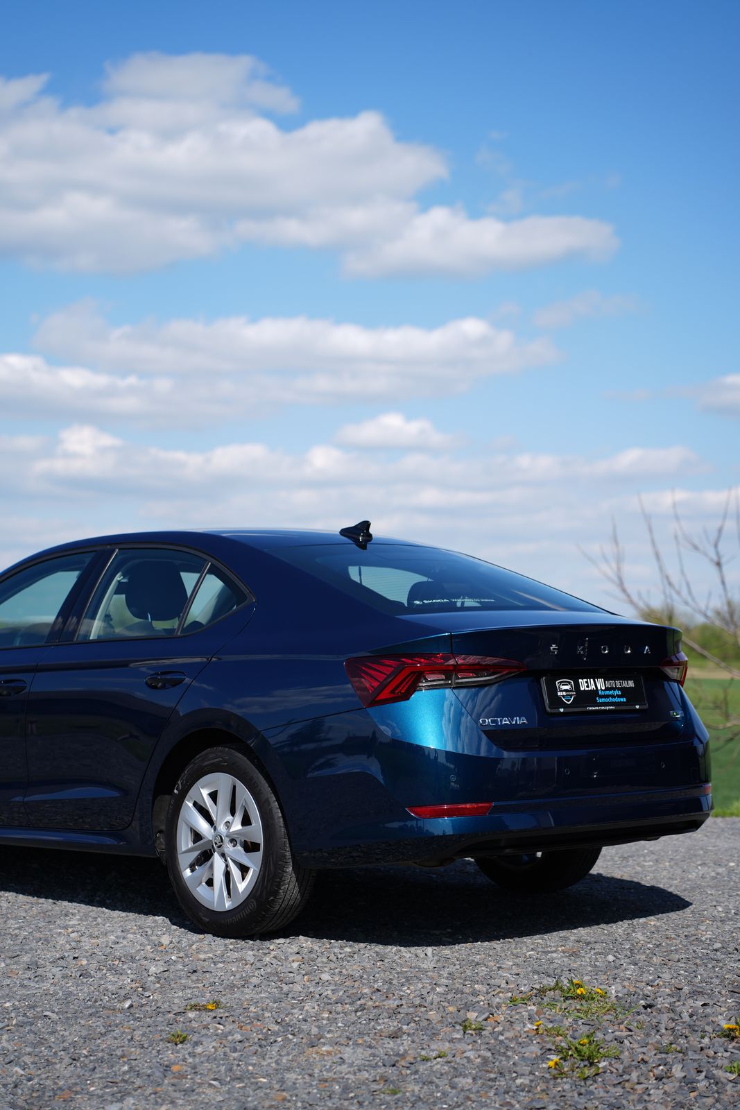 Skoda Octavia - zdjecie realizacji 7